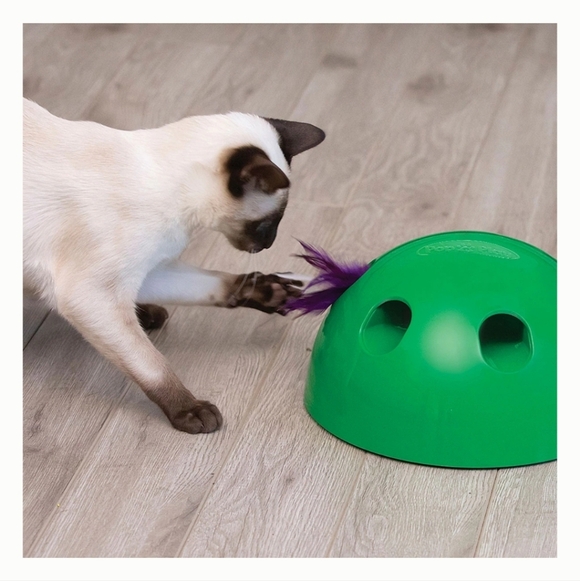 Pets Know Best Pop N Play Interactive Cat Motion Toy, Green - Picture 6 of 12